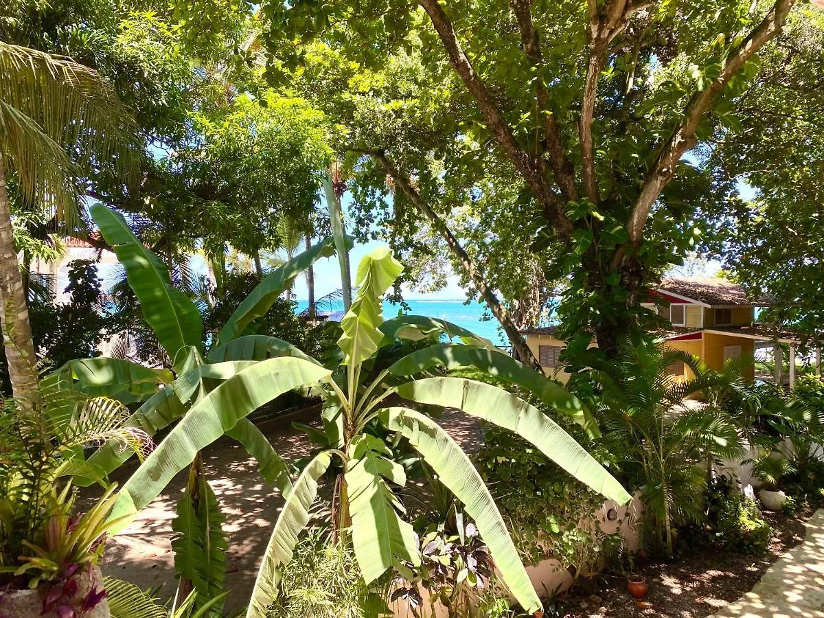 Hotel Alegria Cabarete