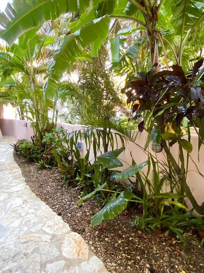 Hotel Alegria Cabarete 2*,