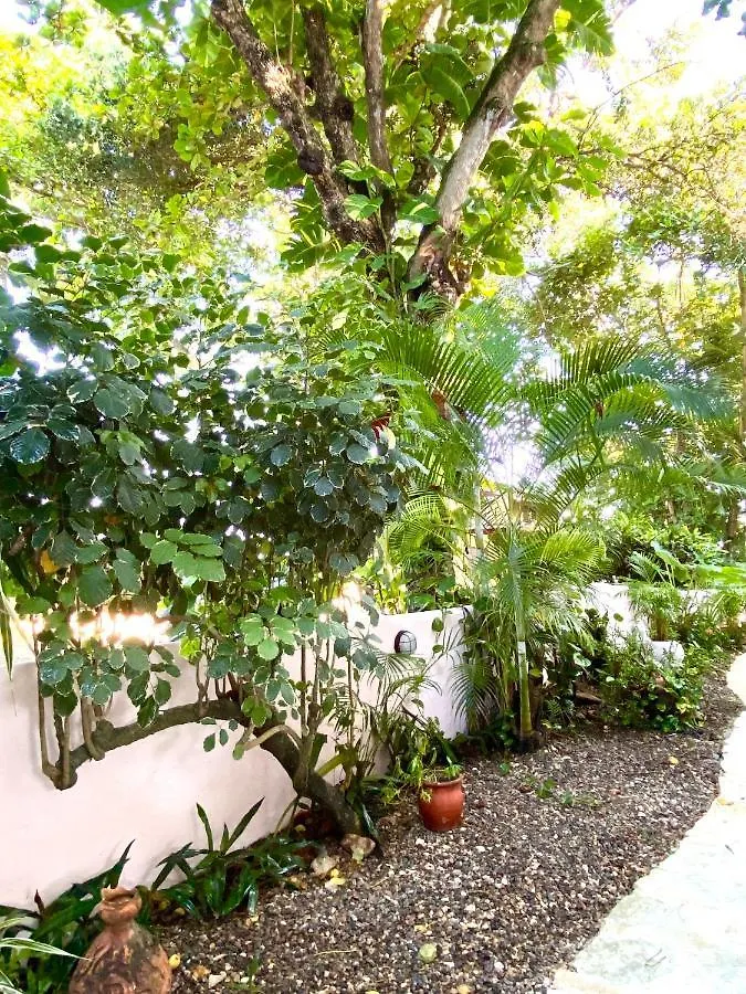 Hotel Alegria Cabarete